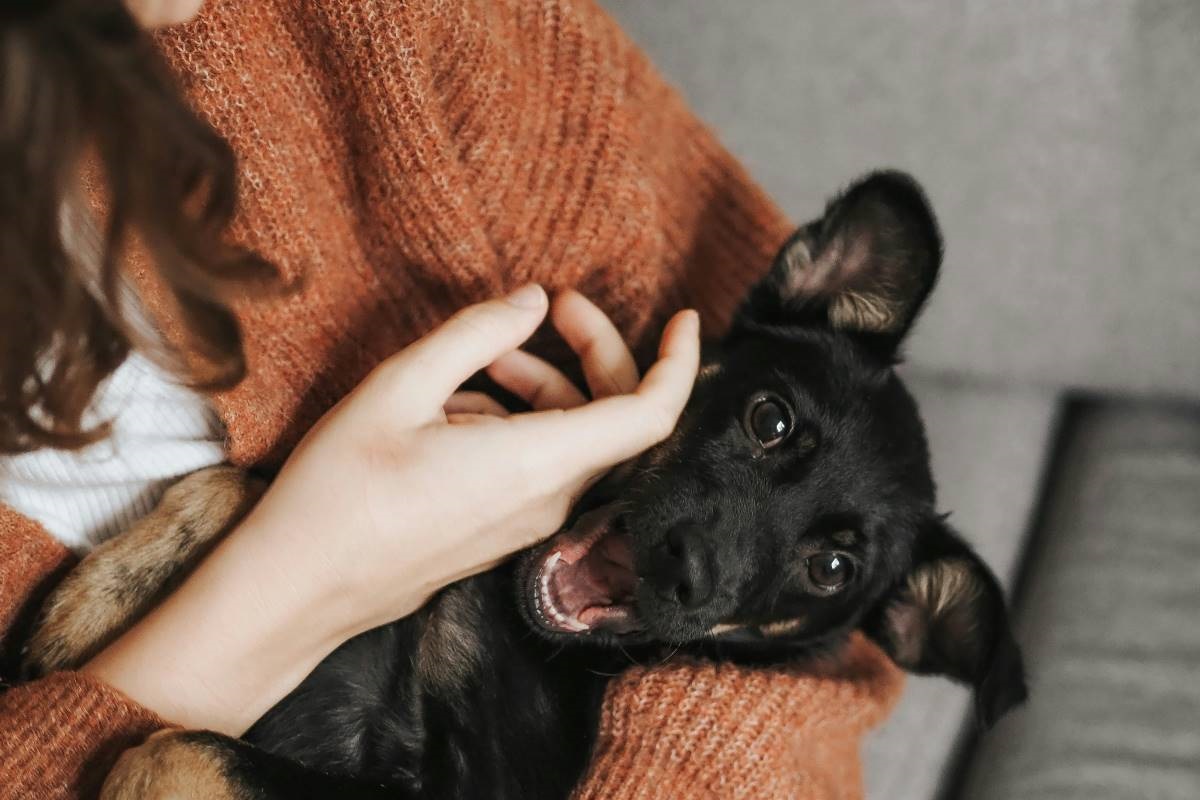 Convívio com animais de estimação estimula hábitos saudáveis